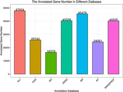 Immune-Related Genes of Megalurothrips usitatus (Bagrall) Against Beauveria brongniartii and Akanthomyces attenuatus Identified Using RNA Sequencing